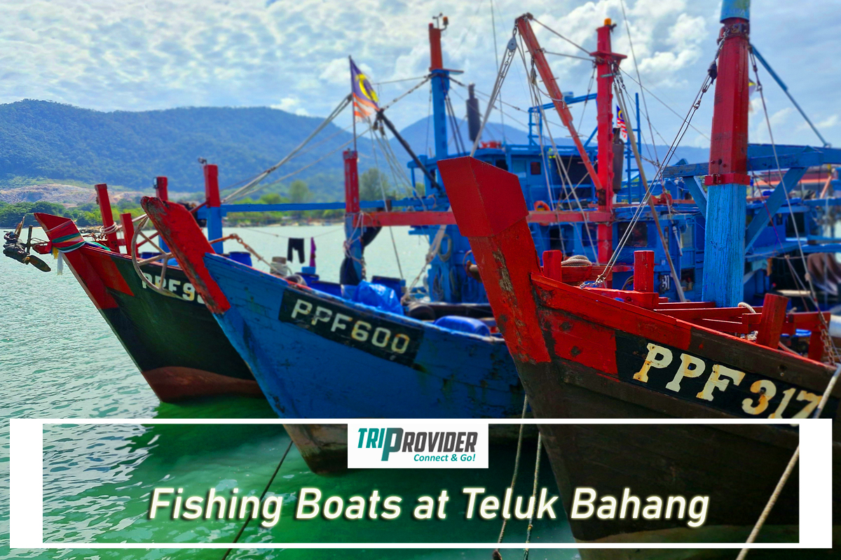 Triprovider - Penang Day Trip - Boats on Teluk Bahang Jetty