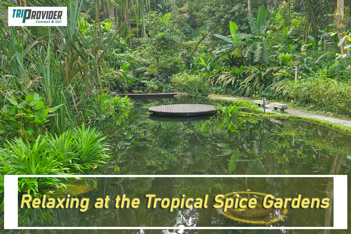 Triprovider - Penang Day Trip - Tropical Spice Gardens