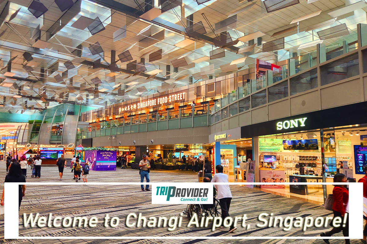 Triprovider - Visiting Jewel Singapore Airport T3