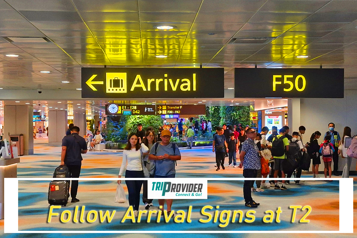 Triprovider - Visiting Jewel Singapore Arrival at T2