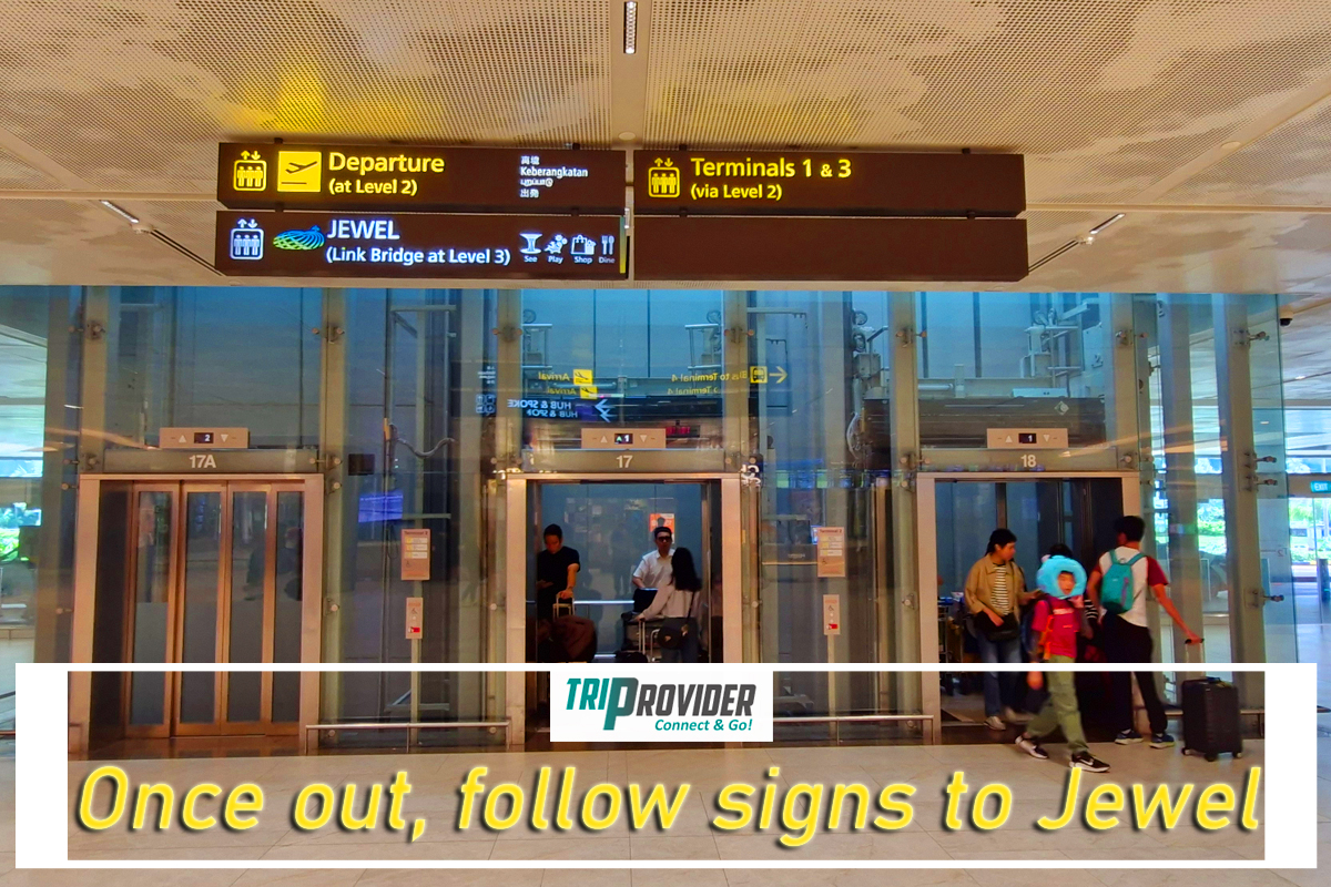 Triprovider - Visiting Jewel Singapore Lift T2