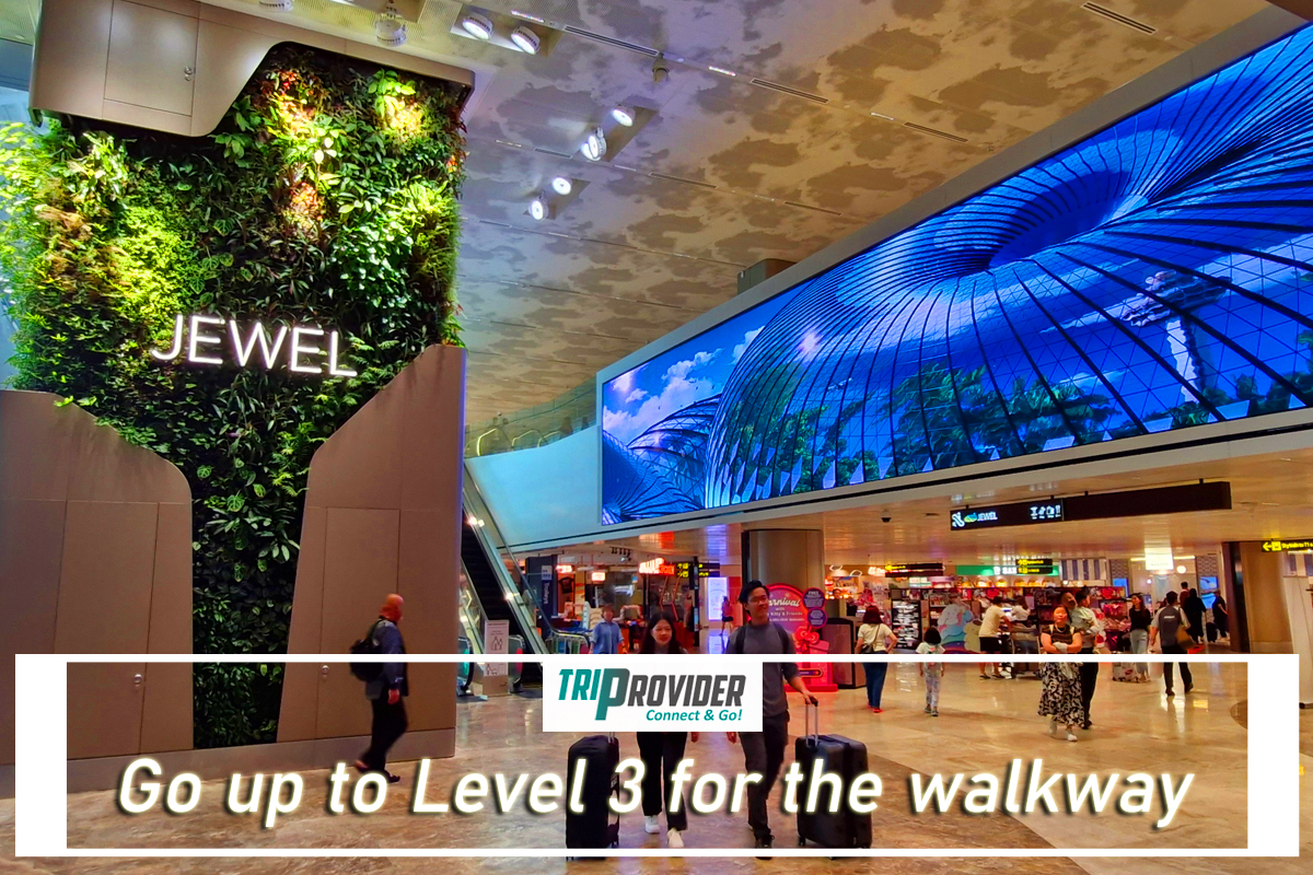 Triprovider - Visiting Jewel Singapore Up To L3 Walkway