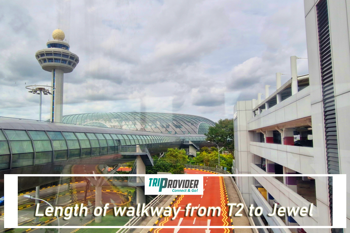 Triprovider - Visiting Jewel Singapore Walkway from T2